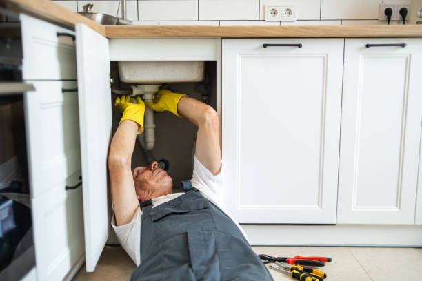 Best Residential Plumbing Services  in Painesville, OH