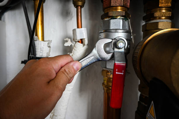 Best Commercial Plumbing Services  in Painesville, OH